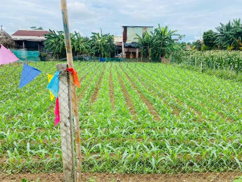 Nhà đẹp Hoàng Bật Đạt - Phường 15, Tân Bình: Diện tích 51m2, Xây 2 Tầng, Giá Cả Hợp Lý